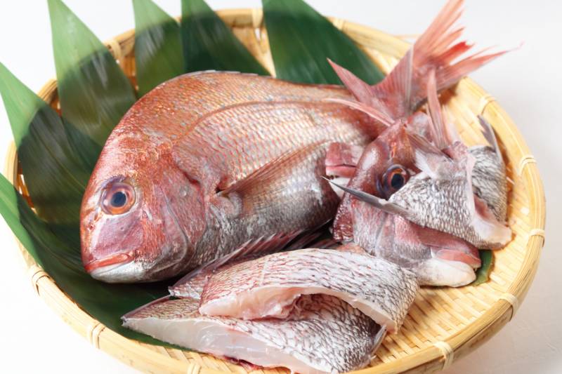 三重県産　鯛